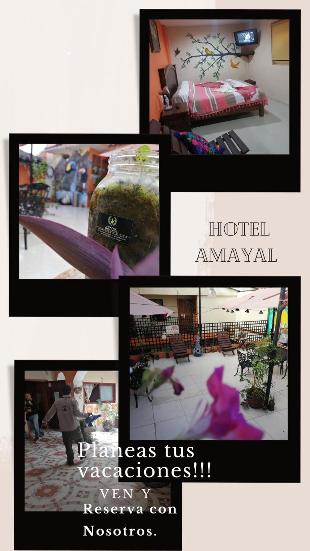 Hotel Amayal San Cristobal de las Casas Exterior photo